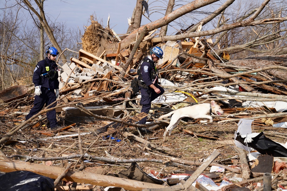 Tornado leaves a path of destruction throughout the Midwest.