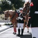 Future Marines Meet Marine Corps Mounted Color Guard