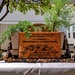 Bonsai Tree Memorial Honors Fallen PHNSY Employees