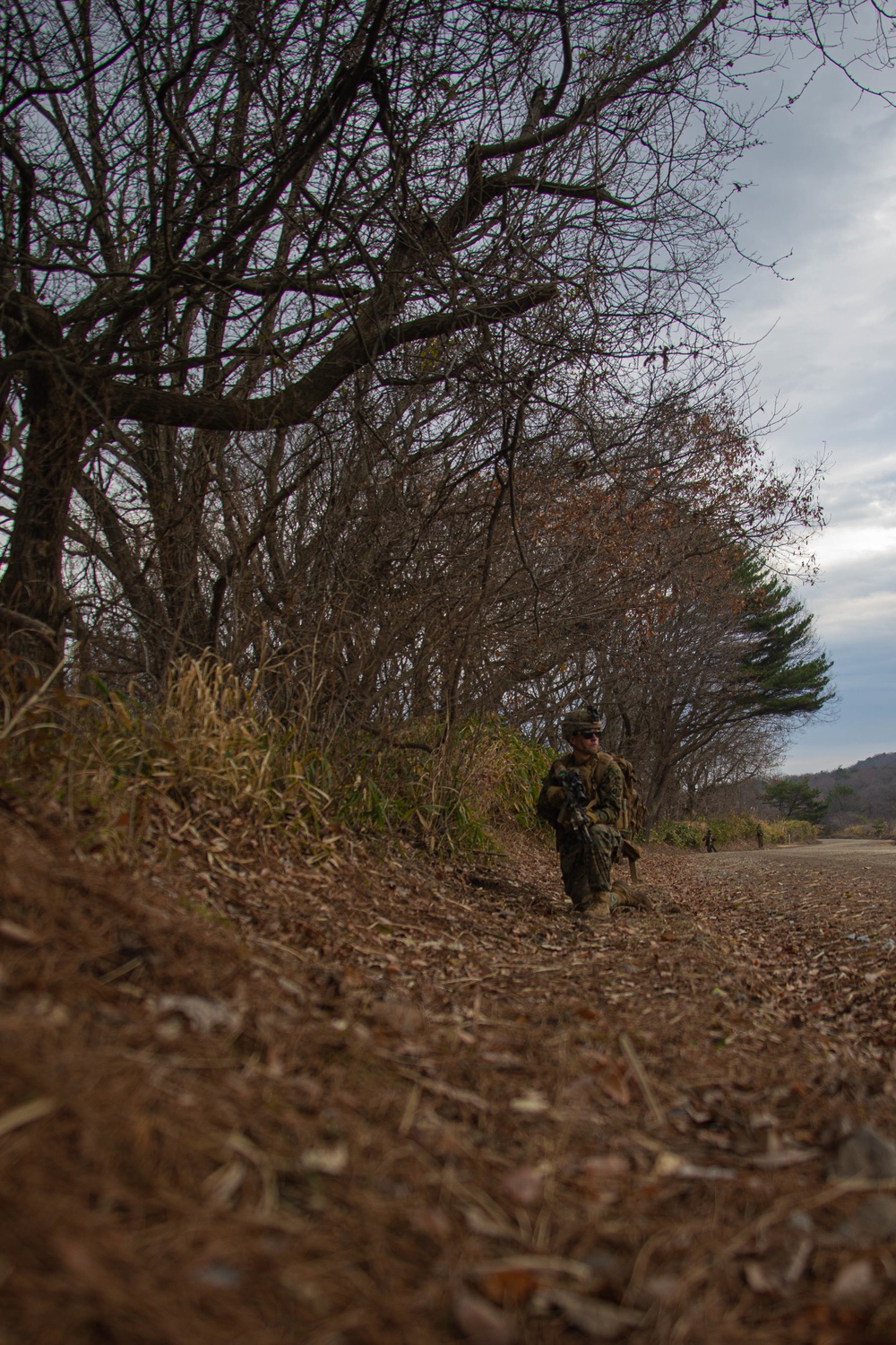 RD21 Marines Patrol to contact