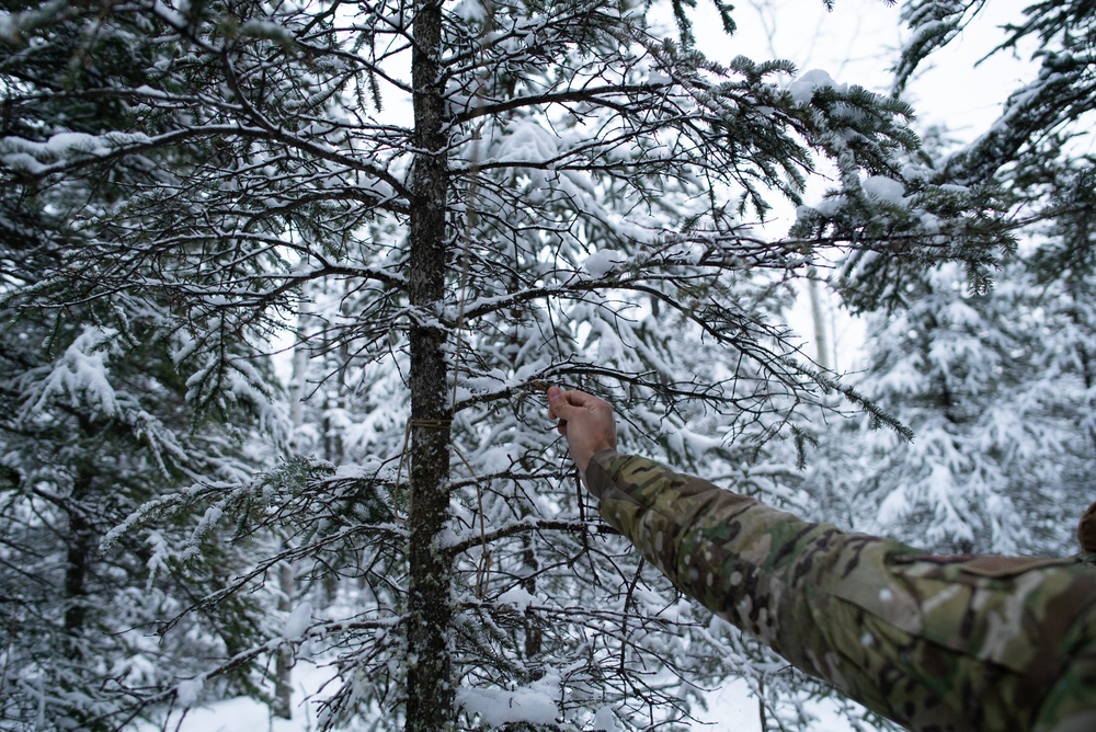 MST 2 Conducts Arctic Exercise