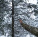 MST 2 Conducts Arctic Exercise