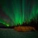 MST 2 Conducts Arctic Exercise