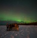 MST 2 Conducts Arctic Exercise