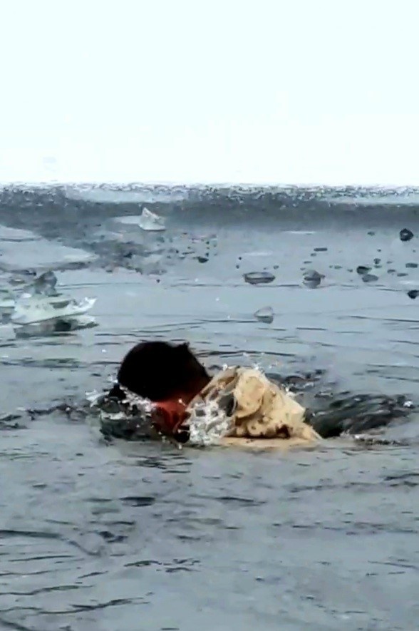 6th Marine Regiment troops jump in for cold-water immersion training at Fort McCoy