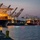 A twilight/dusk scene at a major container port showing multiple large cargo vessels docked at berths and being serviced by ship-to-shore gantry cranes. At least three container ships are visible, including one prominently marked 'EVERGREEN' and another with 'ONE' branding. The port cranes are labeled with 'SAVANNAH, GA, U.S.A.' markings, identifying this as the Port of Savannah, Georgia.