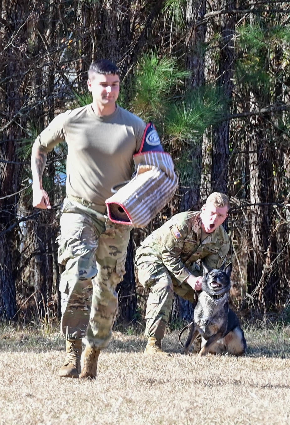 Military Working Dog teams certify