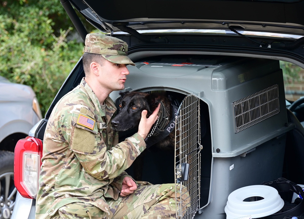 Military Working Dog teams certify