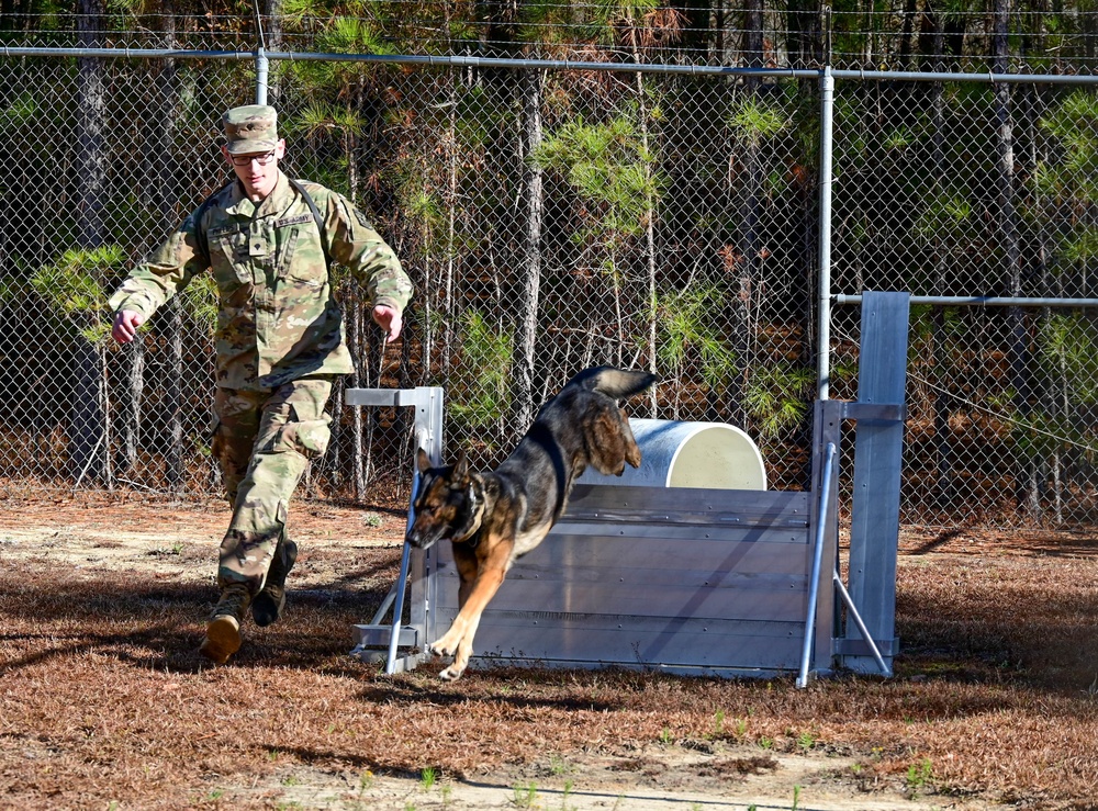 Military Working Dog teams certify