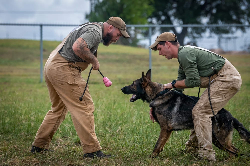 Getting back to good- resiliency, grappling, and dogs