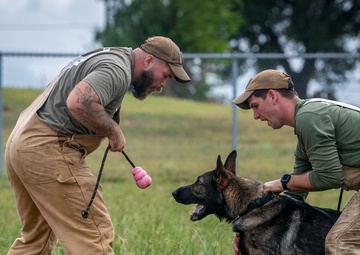 Getting back to good- resiliency, grappling, and dogs