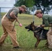 Getting back to good- resiliency, grappling, and dogs