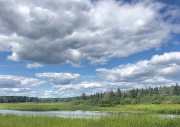 USACE researchers collaborate with Native American tribes to improve wildrice productivity