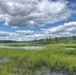 USACE researchers collaborate with Native American tribes to improve wildrice productivity