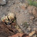 U.S. Army Mountain Warfare School hosts joint mountain training in Djibouti