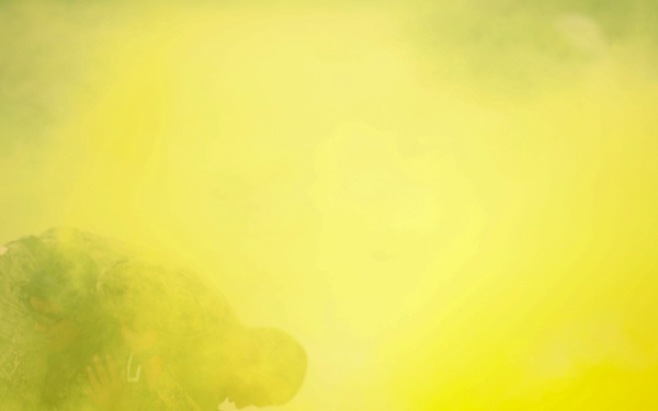 Naval Special Warfare Field Exercise