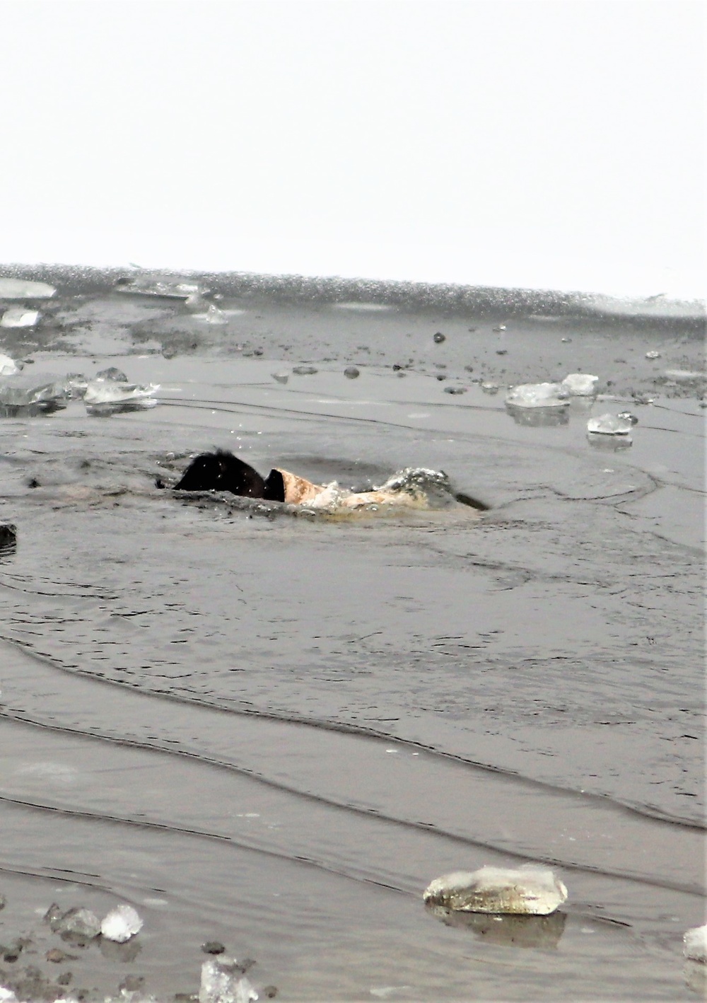 Marines jump in for cold-water immersion training during CWOC ops at Fort McCoy