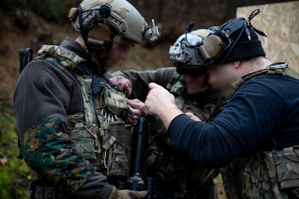 Armed Forces Bosnia-Herzegovina Joint Terminal Attack Control training