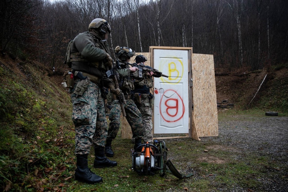 Armed Forces Bosnia-Herzegovina Joint Terminal Attack Control training