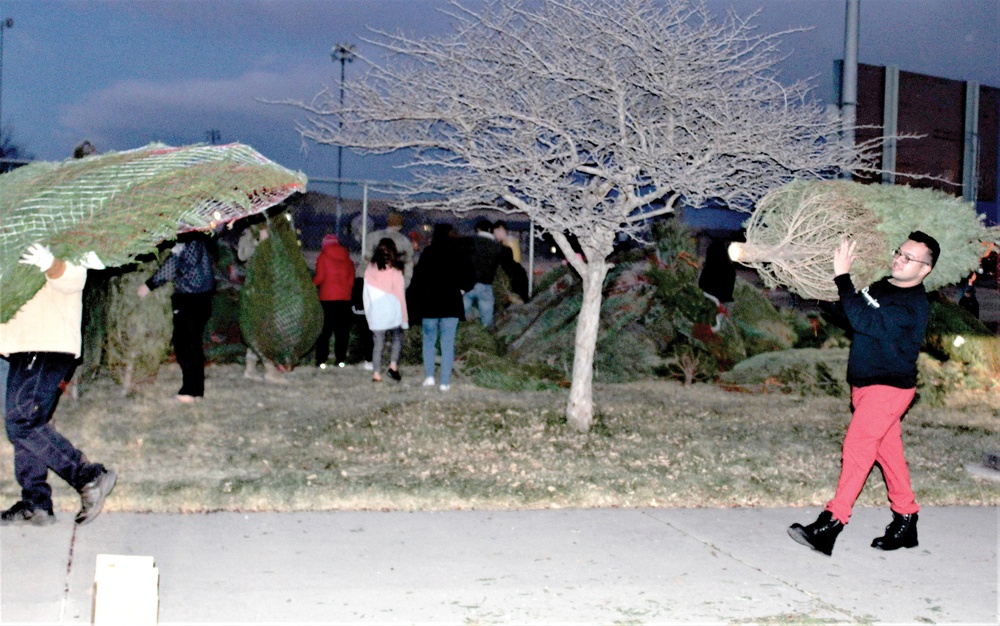 Trees for Troops: Community members get free holiday trees