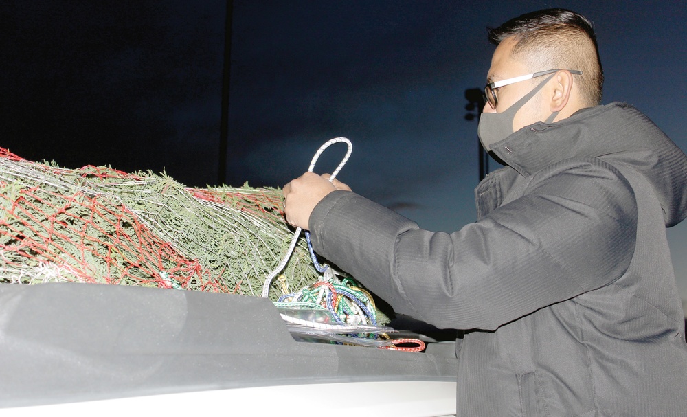 Trees for Troops: Community members get free holiday trees