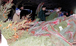 Trees for Troops: Community members get free holiday trees