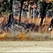 Rare December prescribed burn covers 500-plus acres at Fort McCoy