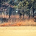 Rare December prescribed burn covers 500-plus acres at Fort McCoy