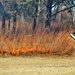 Rare December prescribed burn covers 500-plus acres at Fort McCoy