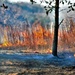 Rare December prescribed burn covers 500-plus acres at Fort McCoy