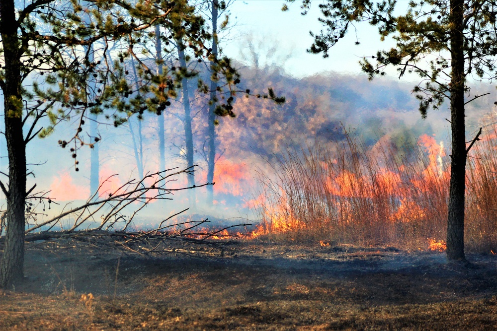 Rare December prescribed burn covers 500-plus acres at Fort McCoy