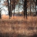 Rare December prescribed burn covers 500-plus acres at Fort McCoy