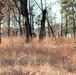 Rare December prescribed burn covers 500-plus acres at Fort McCoy