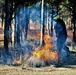 Rare December prescribed burn covers 500-plus acres at Fort McCoy