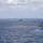 Three Freedom-variant littoral combat ships Conduct Maritime Operations Together