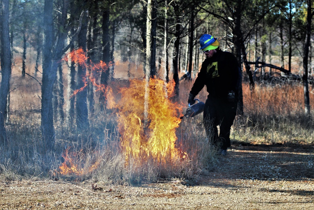 DVIDS - News - Photo Essay: Rare December prescribed burn covers 500 ...