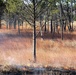December prescribed burn covers 500-plus acres at Fort McCoy