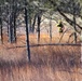Rare December prescribed burn covers 500-plus acres at Fort McCoy