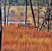 Rare December prescribed burn covers 500-plus acres at Fort McCoy
