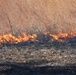 Rare December prescribed burn covers 500-plus acres at Fort McCoy