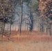 Rare December prescribed burn covers 500-plus acres at Fort McCoy