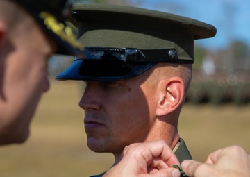 3/6 Relief and Appointment