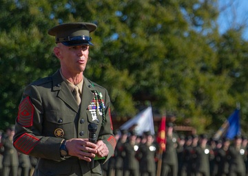 3/6 Relief and Appointment