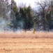 Rare December prescribed burn covers 500-plus acres at Fort McCoy