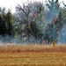 Rare December prescribed burn covers 500-plus acres at Fort McCoy