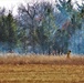 Rare December prescribed burn covers 500-plus acres at Fort McCoy