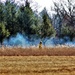 Rare December prescribed burn covers 500-plus acres at Fort McCoy