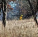 Rare December prescribed burn covers 500-plus acres at Fort McCoy