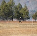 Rare December prescribed burn covers 500-plus acres at Fort McCoy