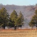 Rare December prescribed burn covers 500-plus acres at Fort McCoy